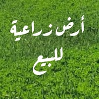 أرض زراعية • ٣٧٥٠م • بكرلي الحلة