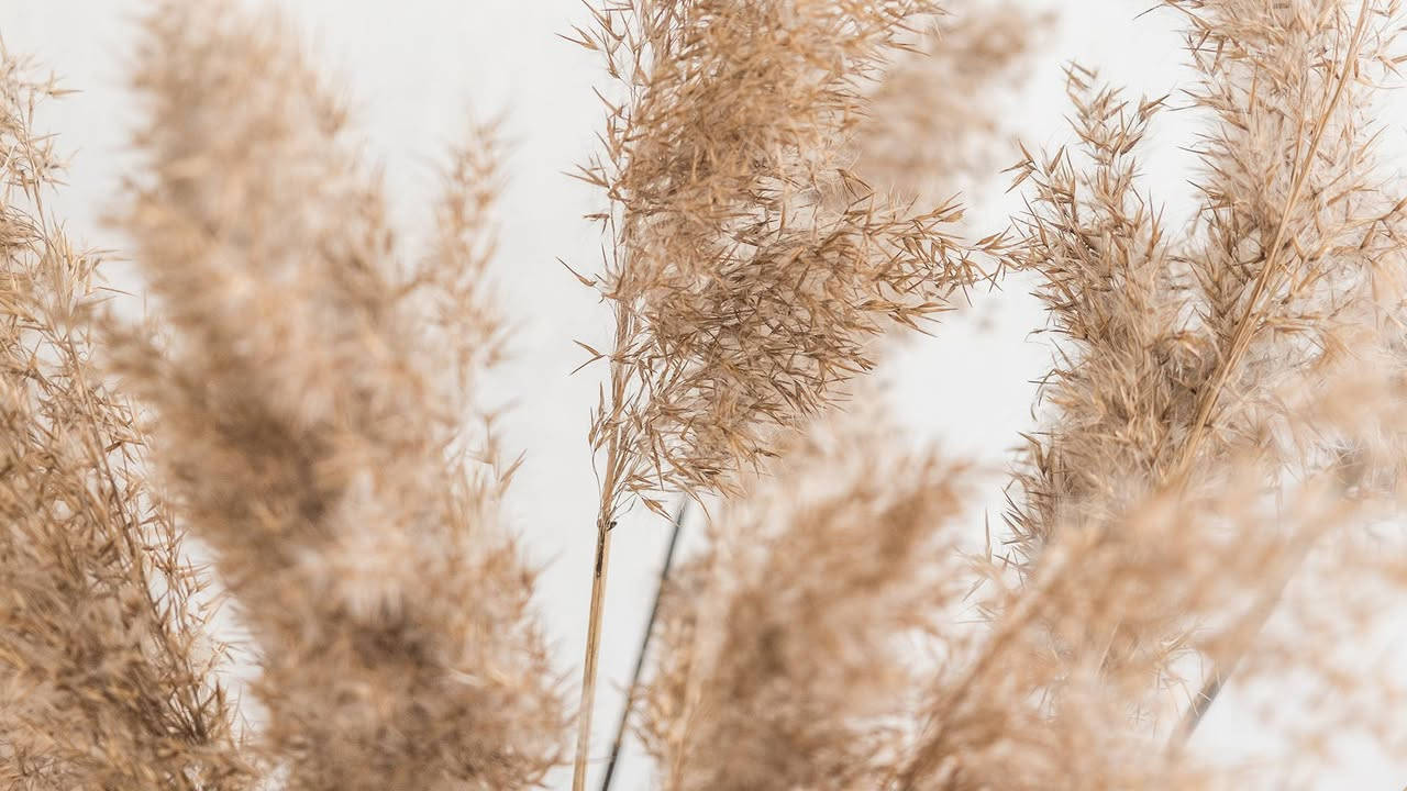 کۆدی ٢٠١٨ جوانترین رەنگ بەرزترین کوالێتی 
لە کۆمپانیای ئەڕداڵ بەردەستە


**إذا كنت صاحب هذا الإعلان وتريد حذفه لأي سبب، رجاءا أرسل رسالة إلى الدعم الفني**