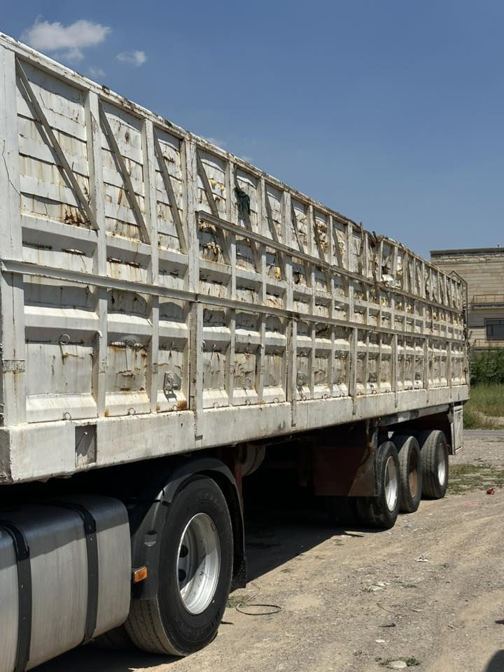 بودى للبيع
دبل تاير بيلادى
سعر ٥٥ مجال

***********
***********
