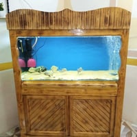 حوض اسماك • متكامل الملحقات • ١٢٠x٥٠x٦٠