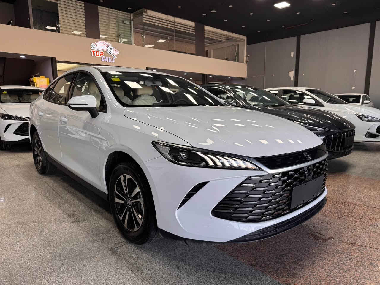 بي واي دي ناو کریمی.ویل کرۆم  BYD Qin Plus 2025.   
مواصفات.کارەبایی و بەنزین و هایبريد.
بصمة شاشةوكاميرا ویل کەپ.تانکی گەورە 
2100 كم.دەڕوات.تحديدسورعه.لیدڤۆلیۆم 
. ☎️   مۆبایل ***********
مکان أربيل معرض تۆپ کارس.سحر 🔥 أربيل, العراق
