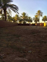 طويريج الاعيوج • ٧٠٠م • سند٢٥