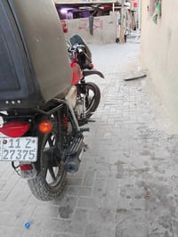 بوكسر • جبلي • موديل ٢٢