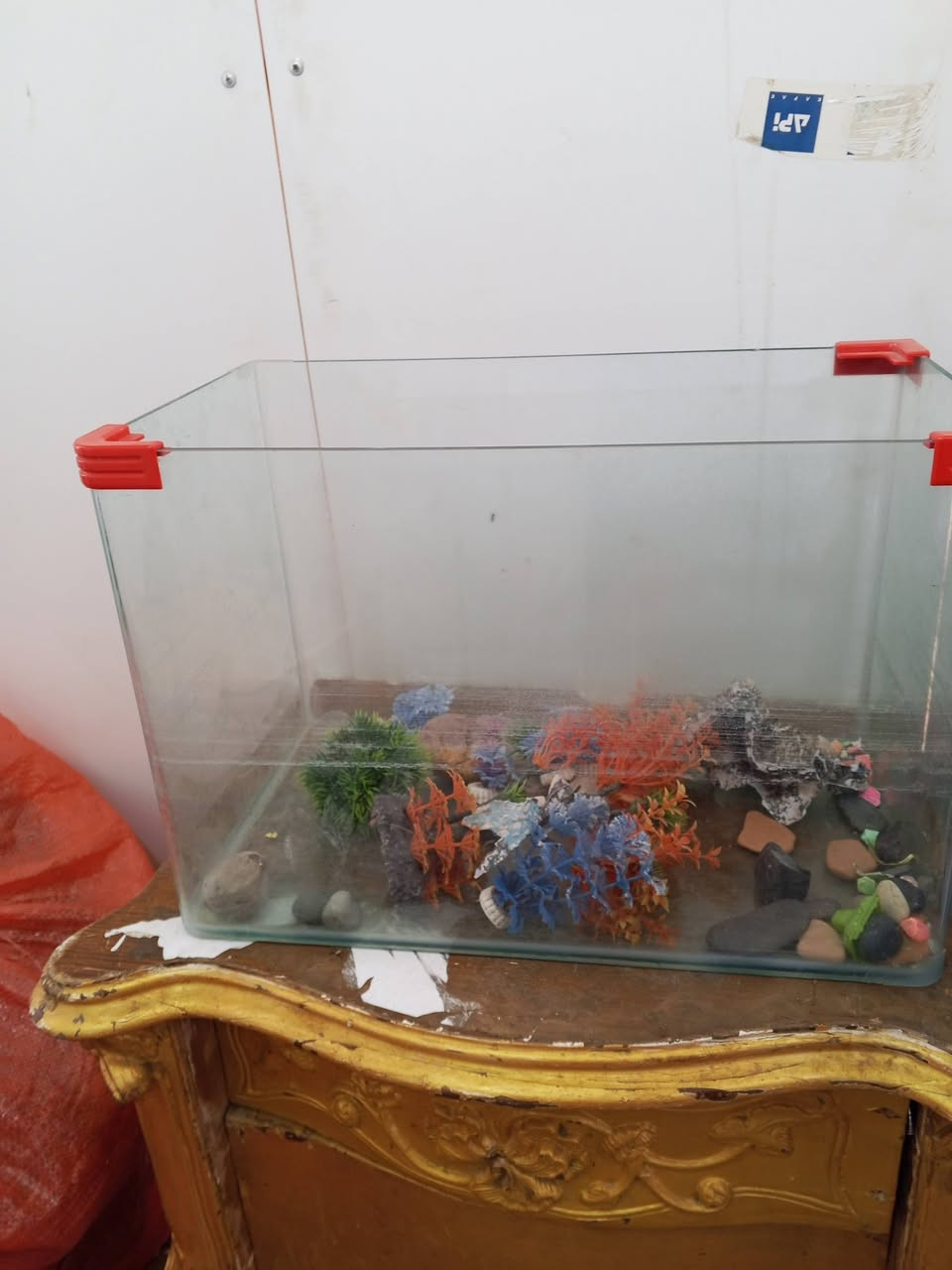 احواض اسماك زينه للبيع 
احواض اربعه نضيفه جداا مكاني كوت للاستفسار ع لخاص


**إذا كنت صاحب هذا الإعلان وتريد حذفه لأي سبب، رجاءا أرسل رسالة إلى الدعم الفني**