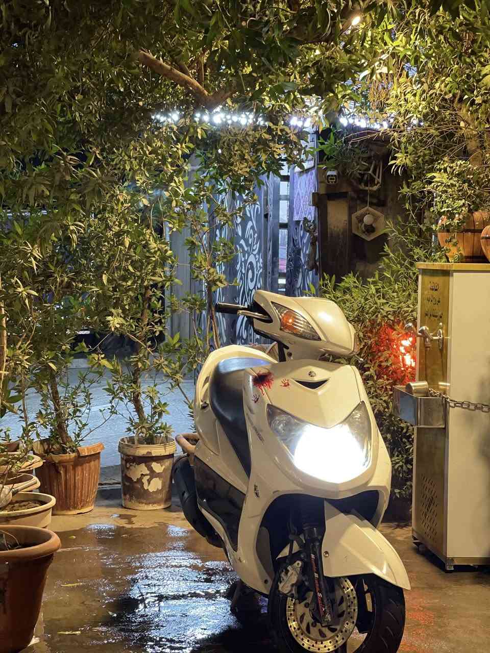 سلام عليكم سكنس فحل كابريتر للبيع دراجة رمبه مو مال شارع تخبل نكره سلف اديرله احسن دهن موتل وبانزين محسن دراجه تخبل دشبول كله شغال مكان بغداد الاعظميه سعر 700 الاستفسار ***********
