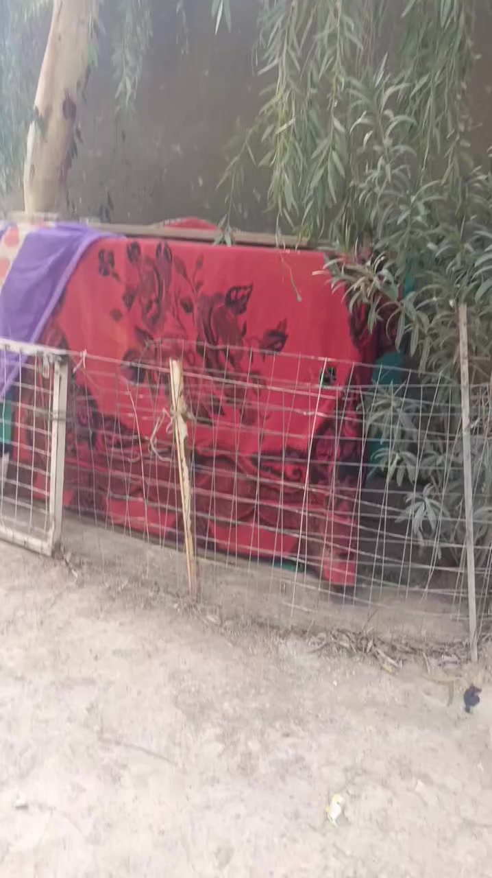 السلام عليكم اخواني الكرام 
مولده كمنز كاتم
3بستم المولده نضيفه بحالة الزيرو
اخذته علاساس افتح مشروع وتالي لغيته
شرط التشغيل كامله من كل النواحي 
كلها تحكم ذاتي 
سعر مناسب اتصل وبيك خير وتدلل 
***********
