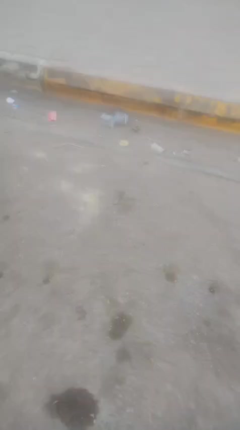 السلام عليكم
اخوان افيو موديل 2007
خليجي
سياره كل نقص مابيهة 
مكينه جديده
دواخلهة حلوه
التفاصيل الكاملة بالفيديو
سعر45
ترهم اقتصاد
مكاني السماوة الرميثه 
اي استفسار اتصل على الرقم 
***********
خاص مااجاوب عالتعاليق ماارد
الرقم بيه واتساب 
رجاء اخوي ماعجبك المنشور اعبره
