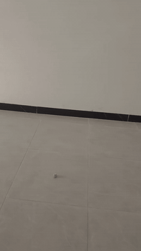 تطبيك سراميك وبرسلاين داخل ميسان ***********
