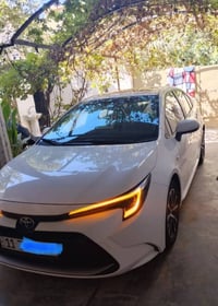 كورلا • ٢٠٢٥ • كفالة سنة