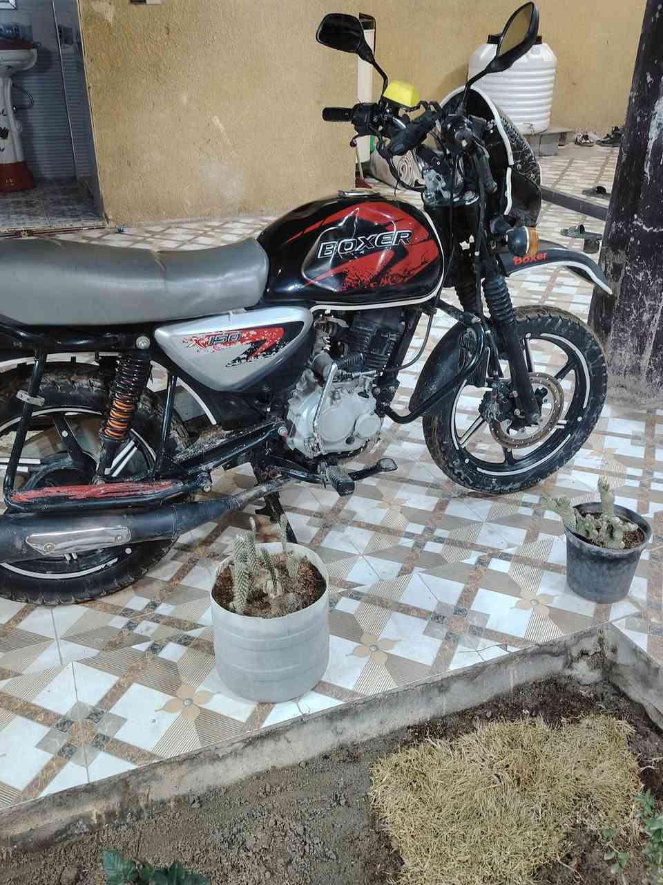 سلام عليكم عليكم بوكسر موديل واحد وعشرين
دراجه مرقمه خير من الله
الخاص مفتوح


**إذا كنت صاحب هذا الإعلان وتريد حذفه لأي سبب، رجاءا أرسل رسالة إلى الدعم الفني**