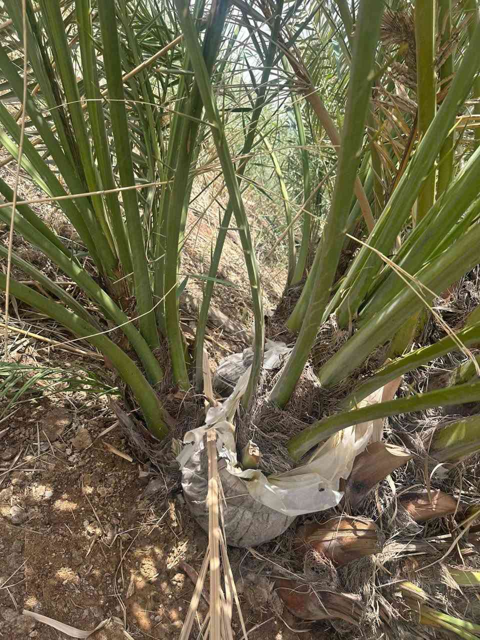 السلام وعليكم يتوفر لدينا فسائل برحي العنوان البصره ابو لخصيب ***********
