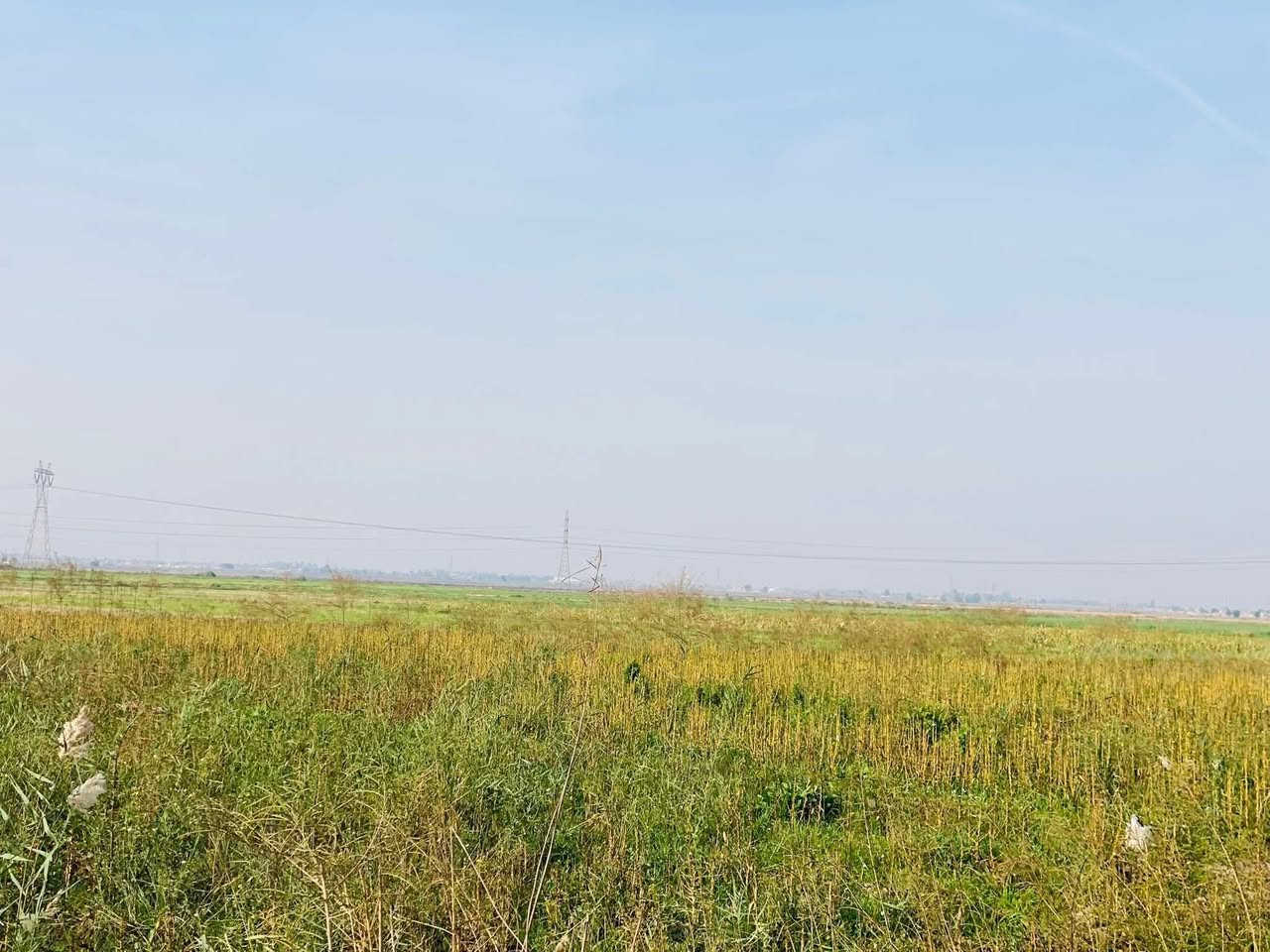 سلام عليكم ورحمة الله وبركاته توجد سفحه للبيع المساحه 75 دونم  المكان طريق سيد احمد الرفاعي / مقابل قرية حميد موحان الخير الله الشويلات/ تبعد عن شارع العام كيلو ماي متوفر عل( كرمة الزيديه)
اتصال ع الرقم ‭***********
الرقم الثاني   ***********
