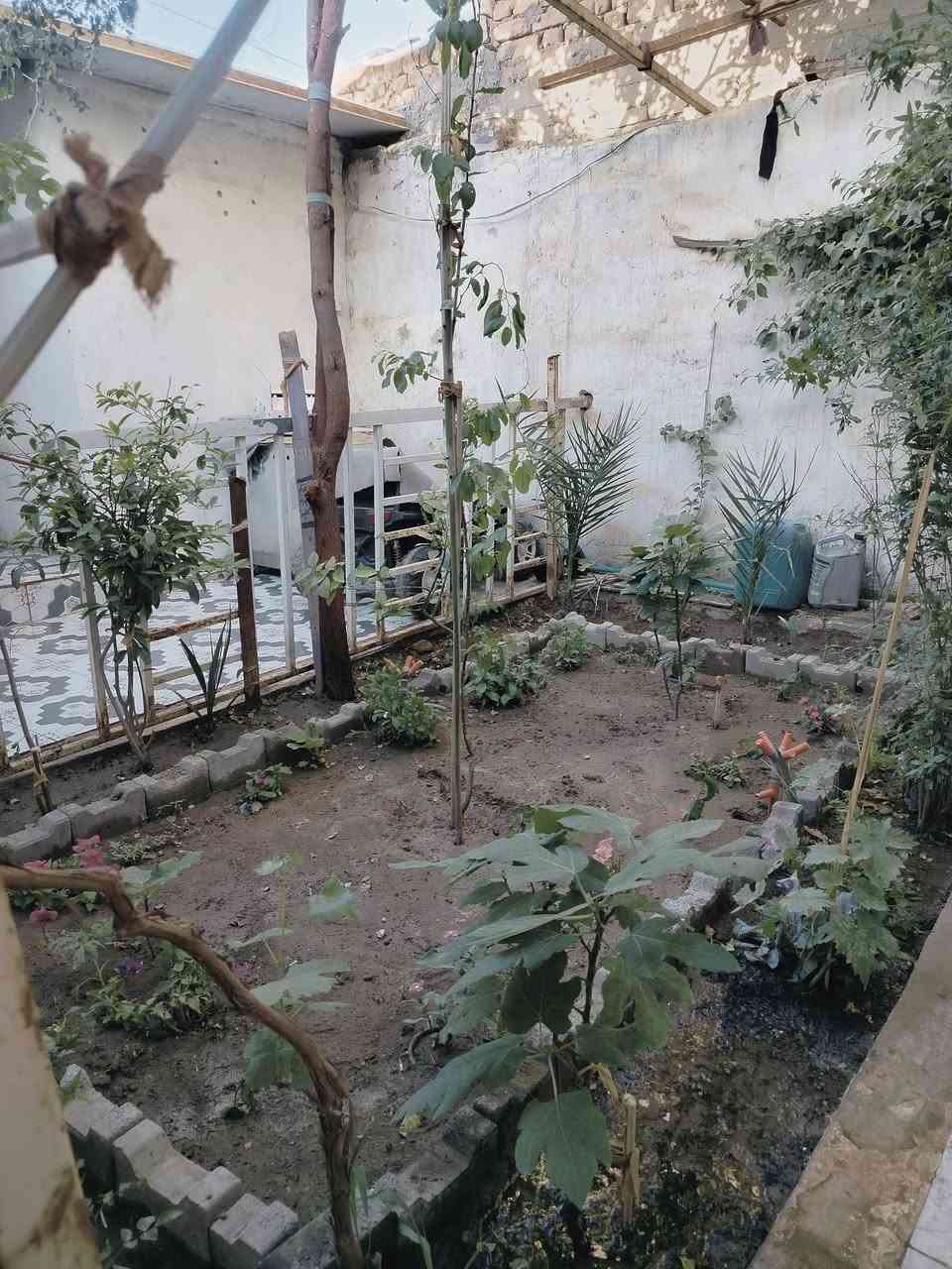 السلام عليكم بيت #للبيع مساحه 220 مكون من ثلاث غرف وصاله كبيره ومطبخ واستقبال وكراج سياره وحديقه وصحيات خارجيه يكون ع شارع تبليط ومقابل مدرسه الورده البيضاء الابتدائية ومتوفر كافه الخدمات  ديوانيه حي العسكري السعر اتفضل خاص رقم***********
