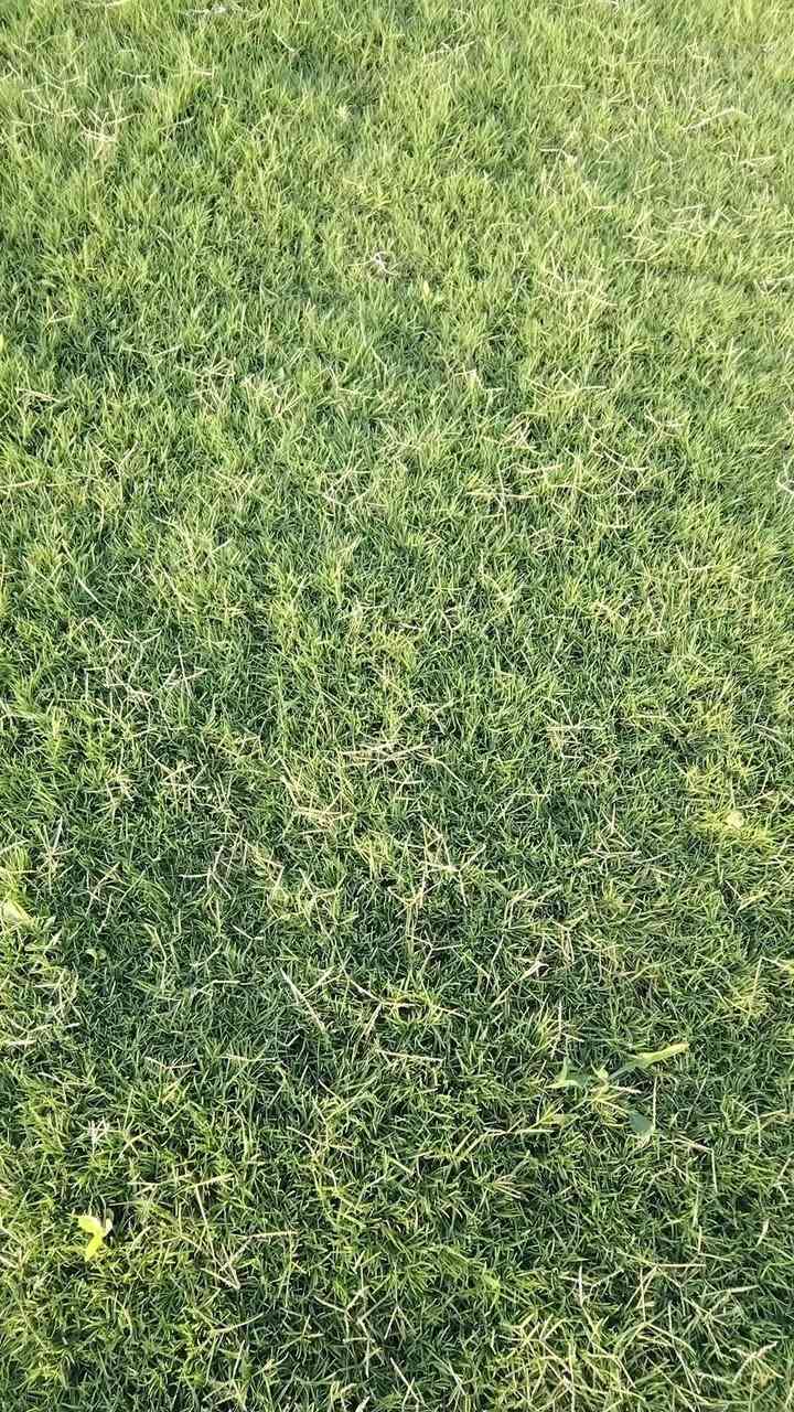 ثيل طبيعي ثيل ادياله سعر المتر الفين دينار لطلب اتصل عله ***********

