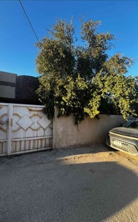 حي المصطفى • غرفتين • ٢٠٠م