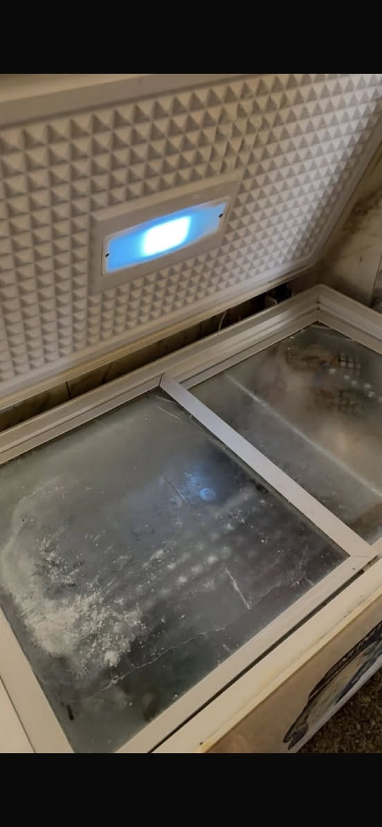 السلام عليكم للبيع مجمده سعرها175وجهاز جري سعره175


**إذا كنت صاحب هذا الإعلان وتريد حذفه لأي سبب، رجاءا أرسل رسالة إلى الدعم الفني**