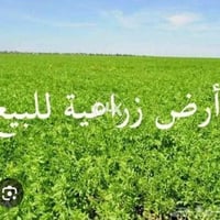 حي المصطفى شارع سماح • طابو زراعي • ٩٠م