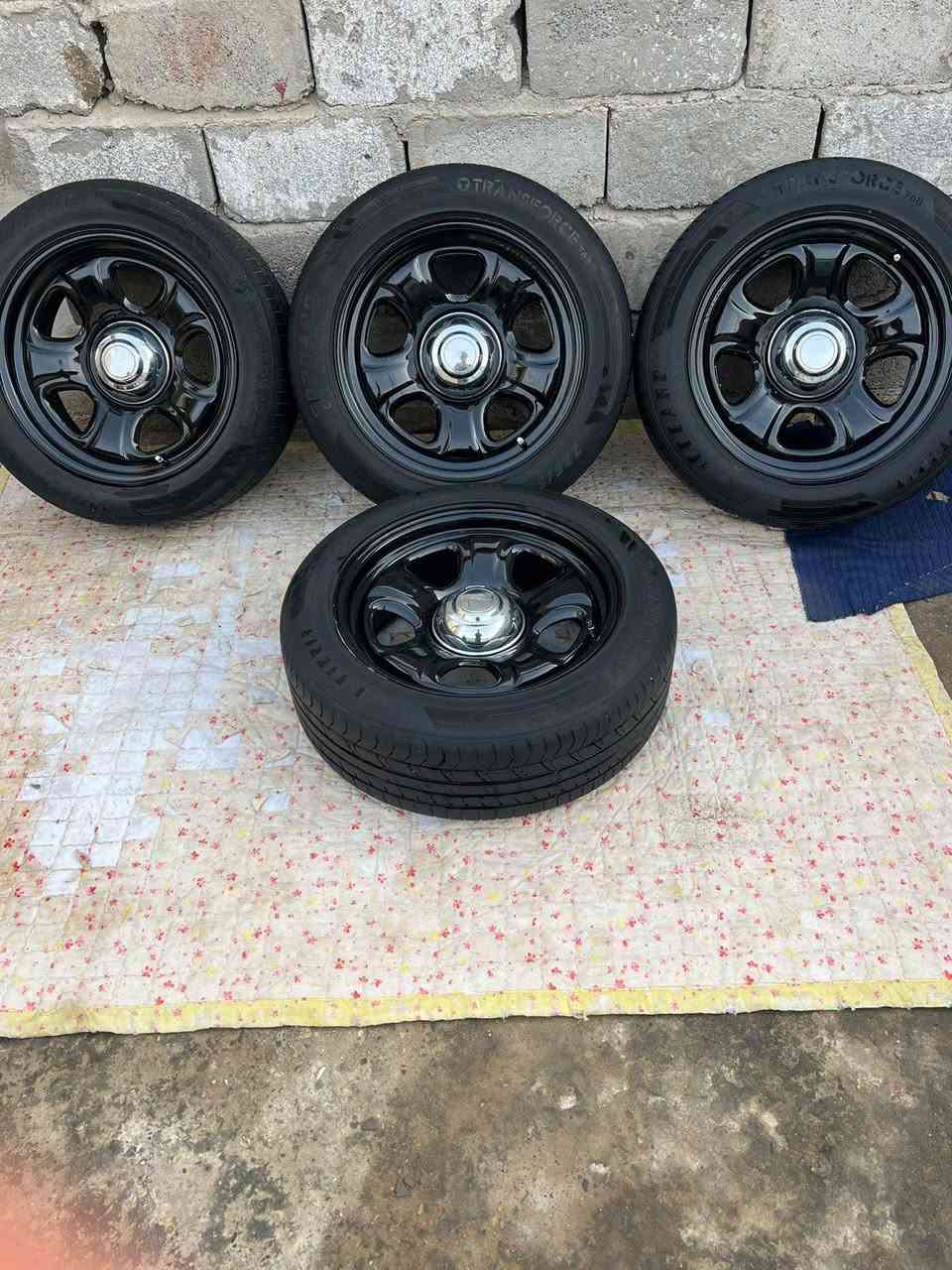 تخم ويل بوليسي أصلي مل كصه طوس والستداد حجم 18 البيع ***********
