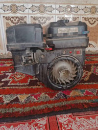 ونزل • الناصرية
