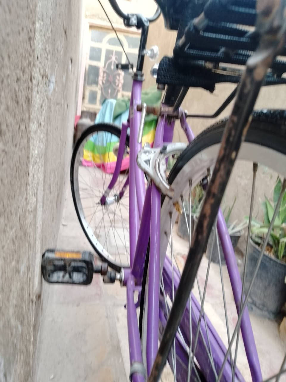 للمروس نجف عسكري شارع سبيس


**إذا كنت صاحب هذا الإعلان وتريد حذفه لأي سبب، رجاءا أرسل رسالة إلى الدعم الفني**