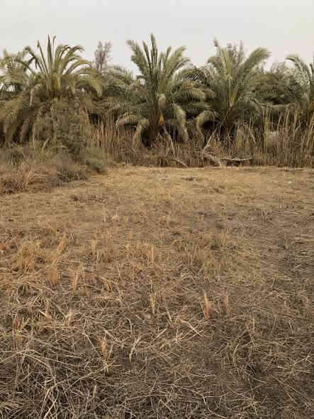 قطعه ارض ملك صرف ٥٢٩ متر 

السلام عليكم قطعه ارض طابو ملك صرف للبيع المساحه ٥٢٩ متر مربع واجهه ٢٣ متر ونزال ٢٣ متر

العنوان / ابي الخصيب - الحمزه الفوك 

للأستفسار  ***********
