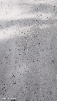 ركن النخيل • ٥٠م • واجه ٥م