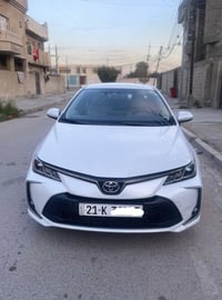 كورلا • ٢٠٢٣ • خليجي