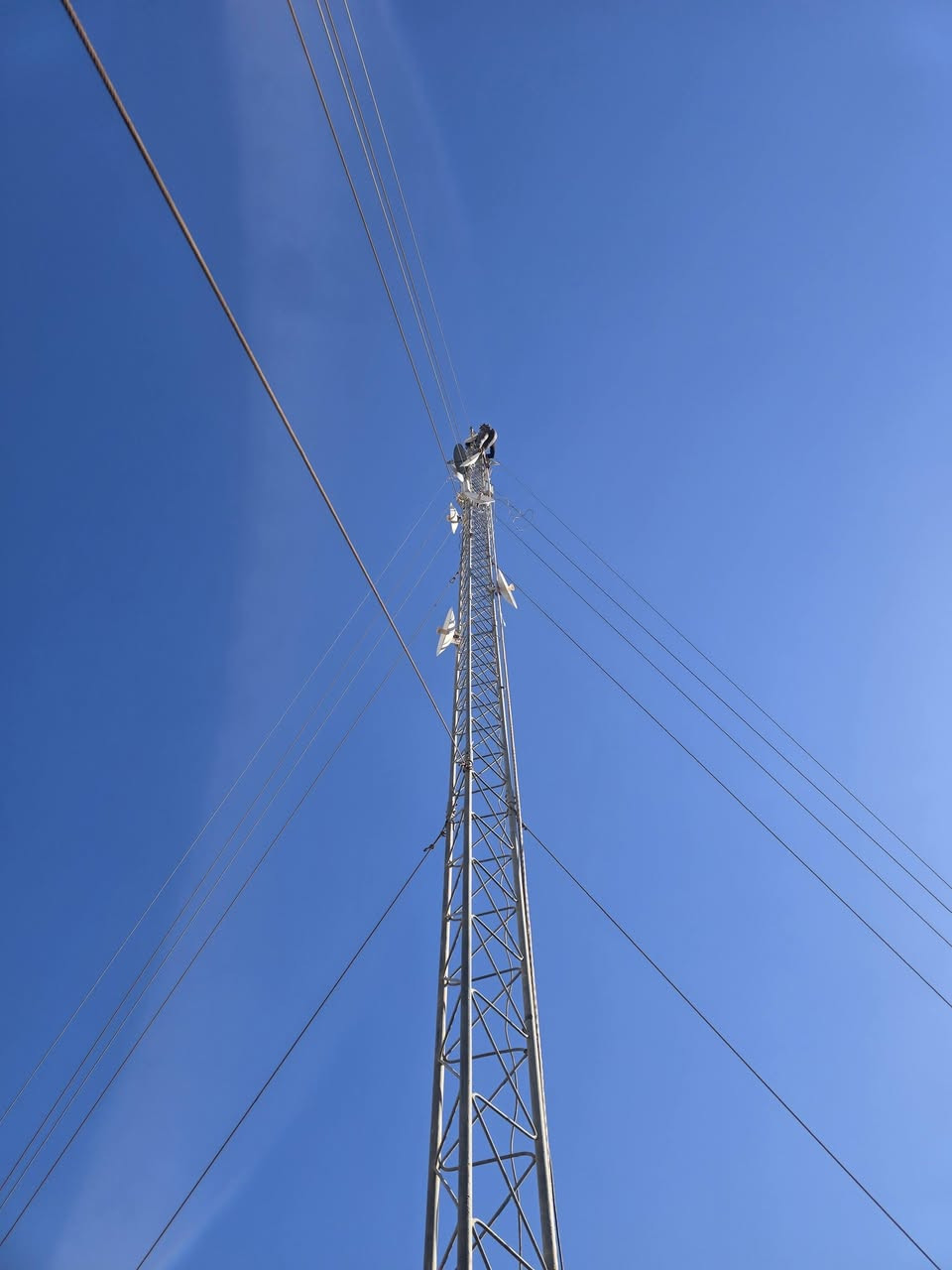 تم تفصيخ ونصب ٢٤ م كربلاء.
***********
علاء
