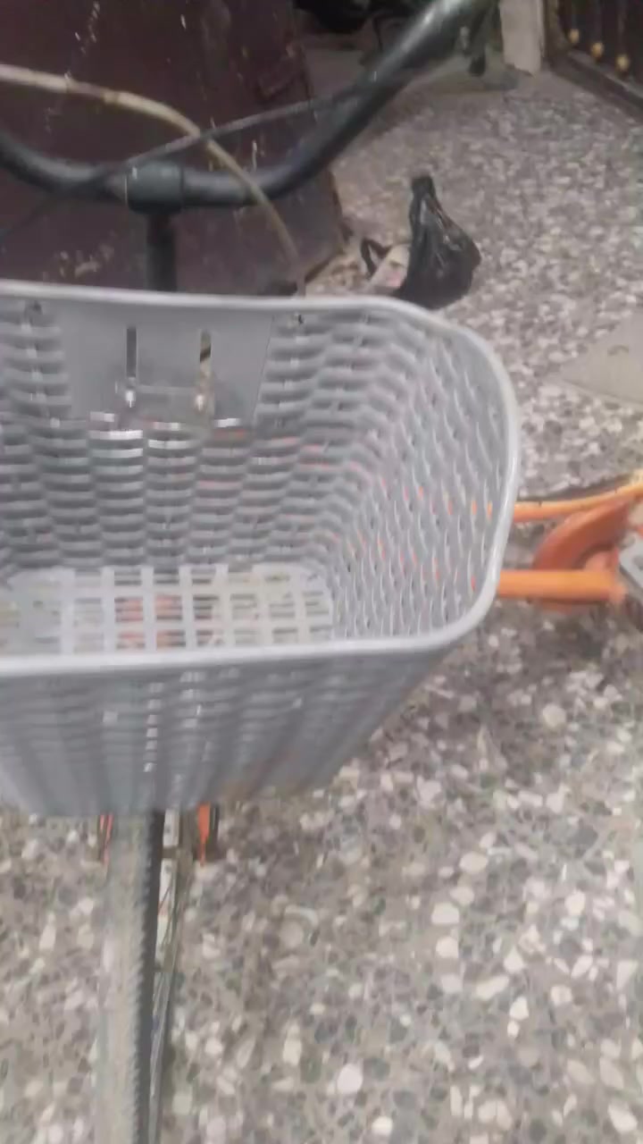 بايسكل للبيع السعر 70 بي مجال المكان الدوره رقم الهاتف ***********9
