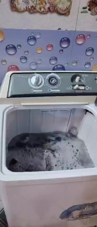 غساله للبيع 12كيلو السعر $100 للإستفسار اتصال 07718255814