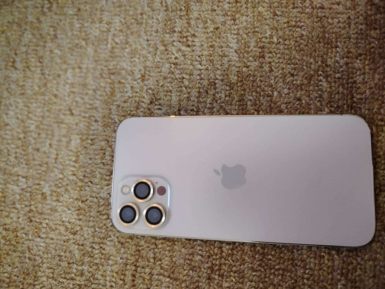 السلام عليكم ايفون 12برو ماكس بطاريه 79مراوس ع جهاز جي تي 30او مبايل 120 فريم بلببجي سعر خاص؟


**إذا كنت صاحب هذا الإعلان وتريد حذفه لأي سبب، رجاءا أرسل رسالة إلى الدعم الفني**