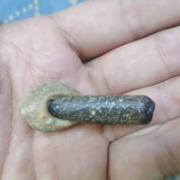 بغداد الشعلة • تواصل خاص