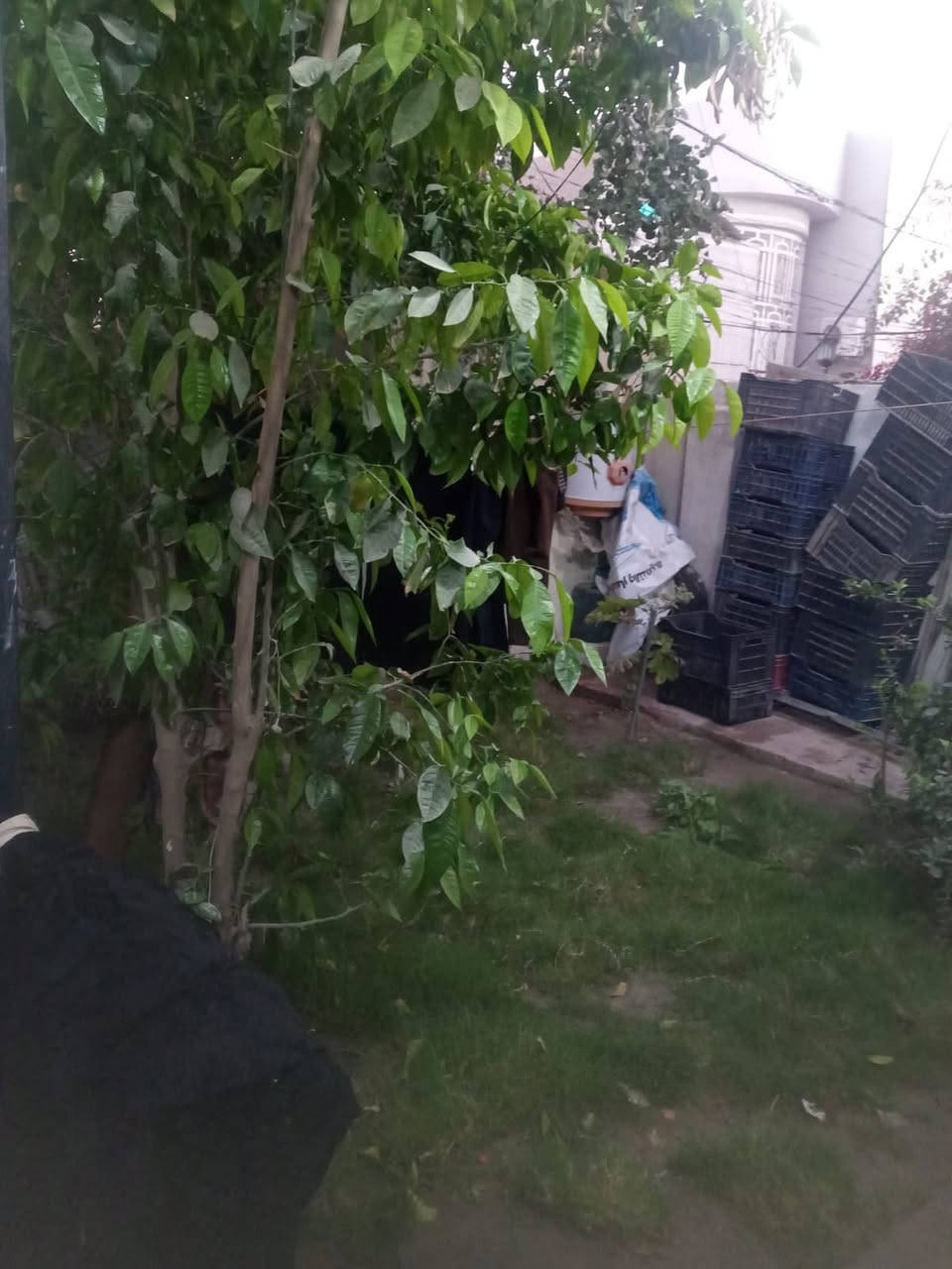 بيت للبيع طابو زراعي سند ٢٥ بناء حديث وجديد منطقه خدمات كاملة، مجاري ، كهرباء . ماء ، تبليط  منطقه كراغول فرع ابو مهند العيفاري وتنزل عليه السعر مناسب  جدا مقارنه بأسعار المنطقه للاستفسار اكثر اتصل على *********** 
للعروض ارسل على الرقم المرفق
