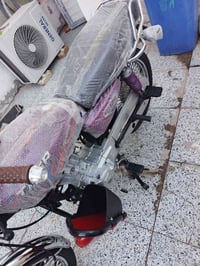 تايكر • مديل ٢٠٢٥ • أم الخيل