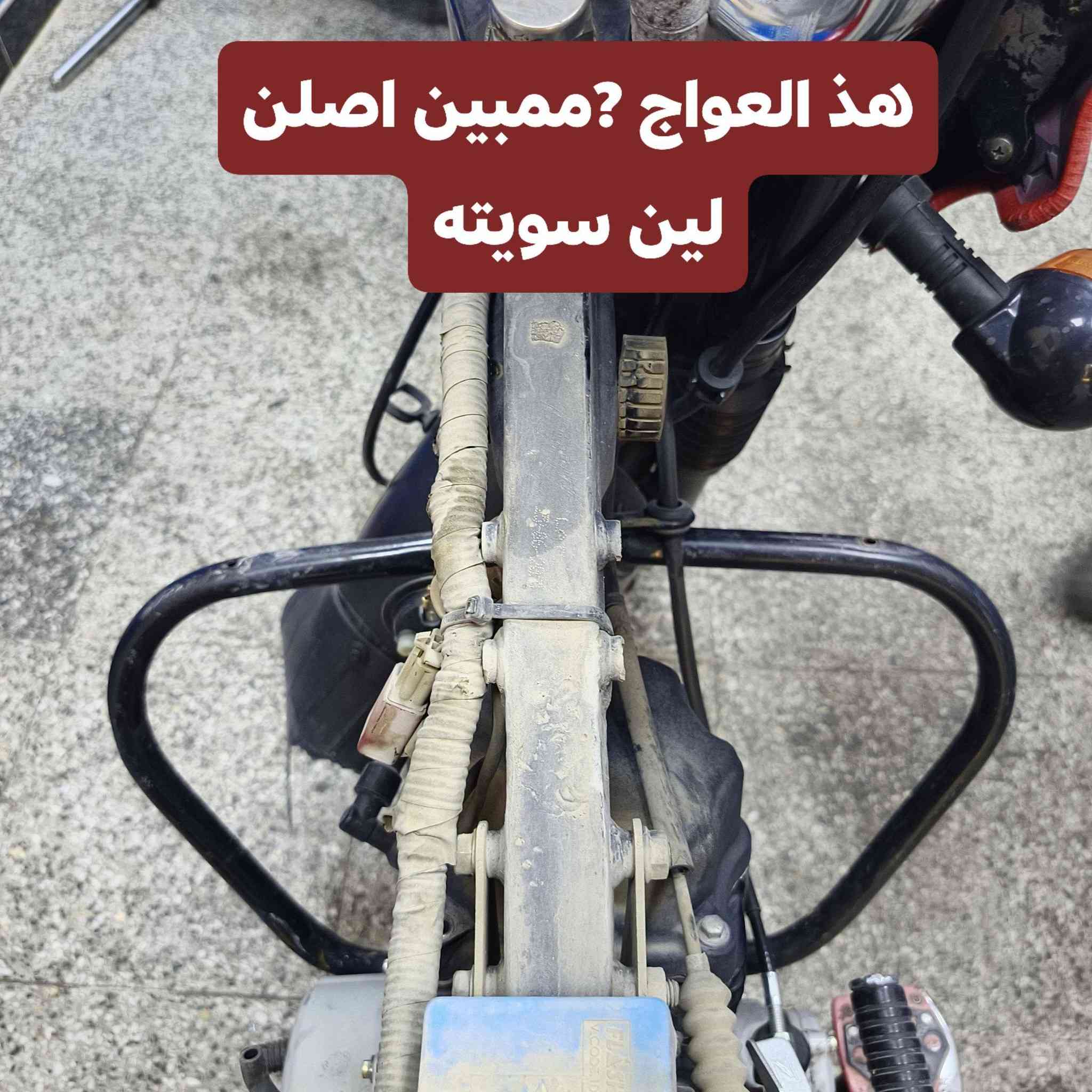 سلام عليكم بوكسر بسمي 21 رقم بغداد
بيه عواج بلشاصي بلصوره شوفه ولا مبين +بيه ملاحضات بسيطه ولمكينه تنقص قليل ***********
