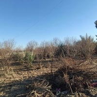 ياالله البيع 1000متر في بغداد منطقه الراشديه  جنس العقاري سند ٢٥ تحويل...