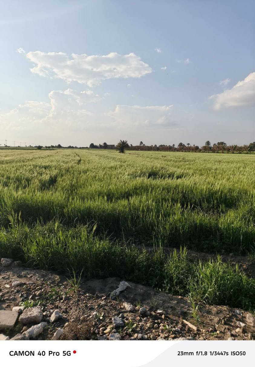 سلام عليكم عروض جديده قطع اللبيع طابو ملك صرف سكني مساحه القطعه 300 متر 
مشموله بقرض السكان سعر القطعه من 12 الحد 20 مليون الخدمات ماء وكهرباء ومدراس الاستفسار الانتصال بل ***********
واتساب ***********
