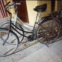 بشكل لبيع سعر60 ثنيناتهن بيهن مجال الرقم /07509935517 بي وساب