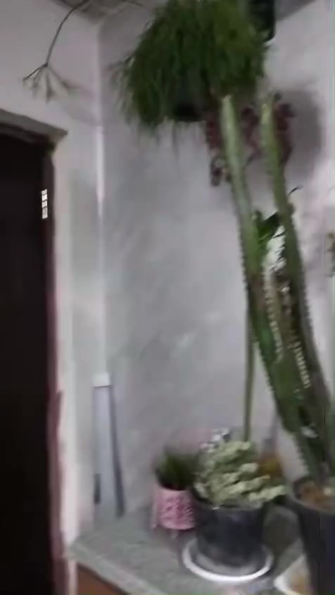 السلام عليكم
شقه سر قفليه للبيع كراده داخل  قرب جبار ابو الشربت صاله وغرفتين نوم وحمام ومطبخ مع مخزن وبلكون على شارع عام وعلى الفرع على طول الشقه البيع مع الاثاث او بدون اثاث واثاث الشقه غرفتين نوم خشب واربع سبالت شاشه TV عدد 2 تخم قنفات مطبخ جاهز وحمام كامل السعر 22 مليون وبيها مجال وللاستفسار اكثر الاتصال على هذا الرقم ***********موجود واتساب
