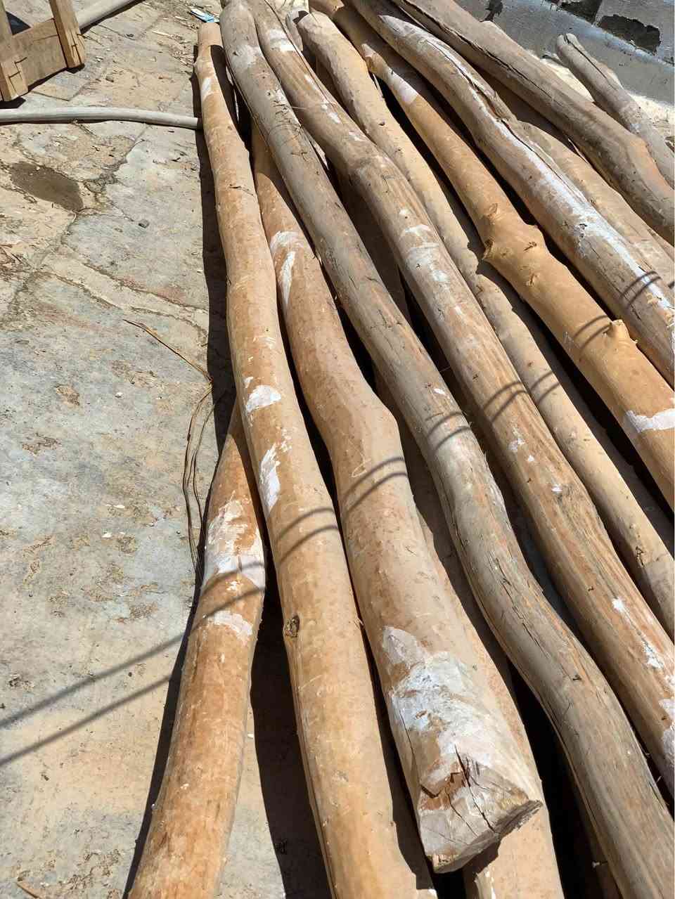 دار بو فروشتن  قياسي ٤مه ترو نيو وه كو تازه وايه هه موي ريكو جوان تقريبه ن ٥٩ دار ده بيت له گه ل ١٠ حه سيرو دوو ئنگلاين بو سعري ته له فون بو خاوه نه كه ي بكه ن ئه مه ش  ره قه مي *********** السليمانية, العراق
