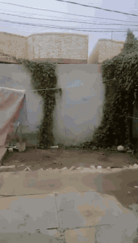 بيت للبيع بلداينيه طابو زراعي سند٢٥ المساحه ٢٠٠ متر نقصه بس بيتونه البيت كامل من مجاري وماي للاستفسار الاتصال ***********
