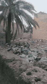 قطع للبيع خلف الامام الحر للبيع للستفسار اتصل ودلل ***********
