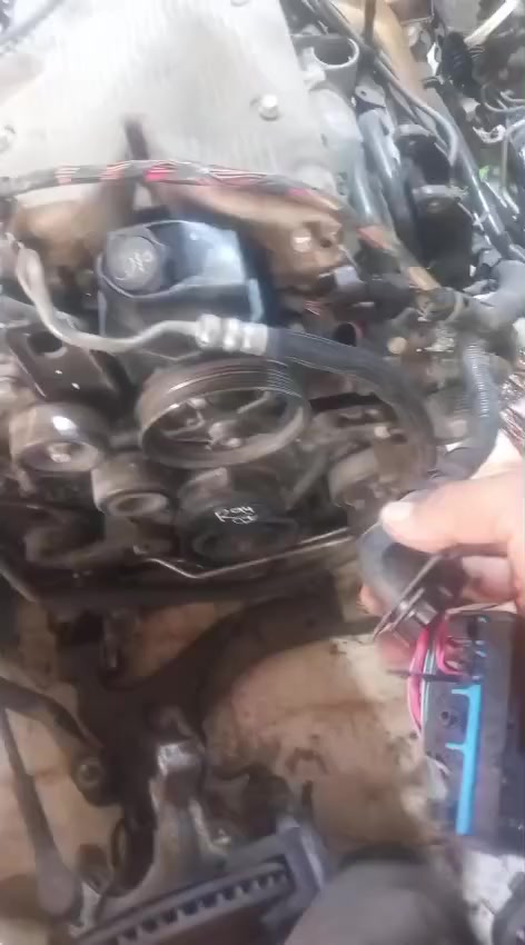 ***********//***********
