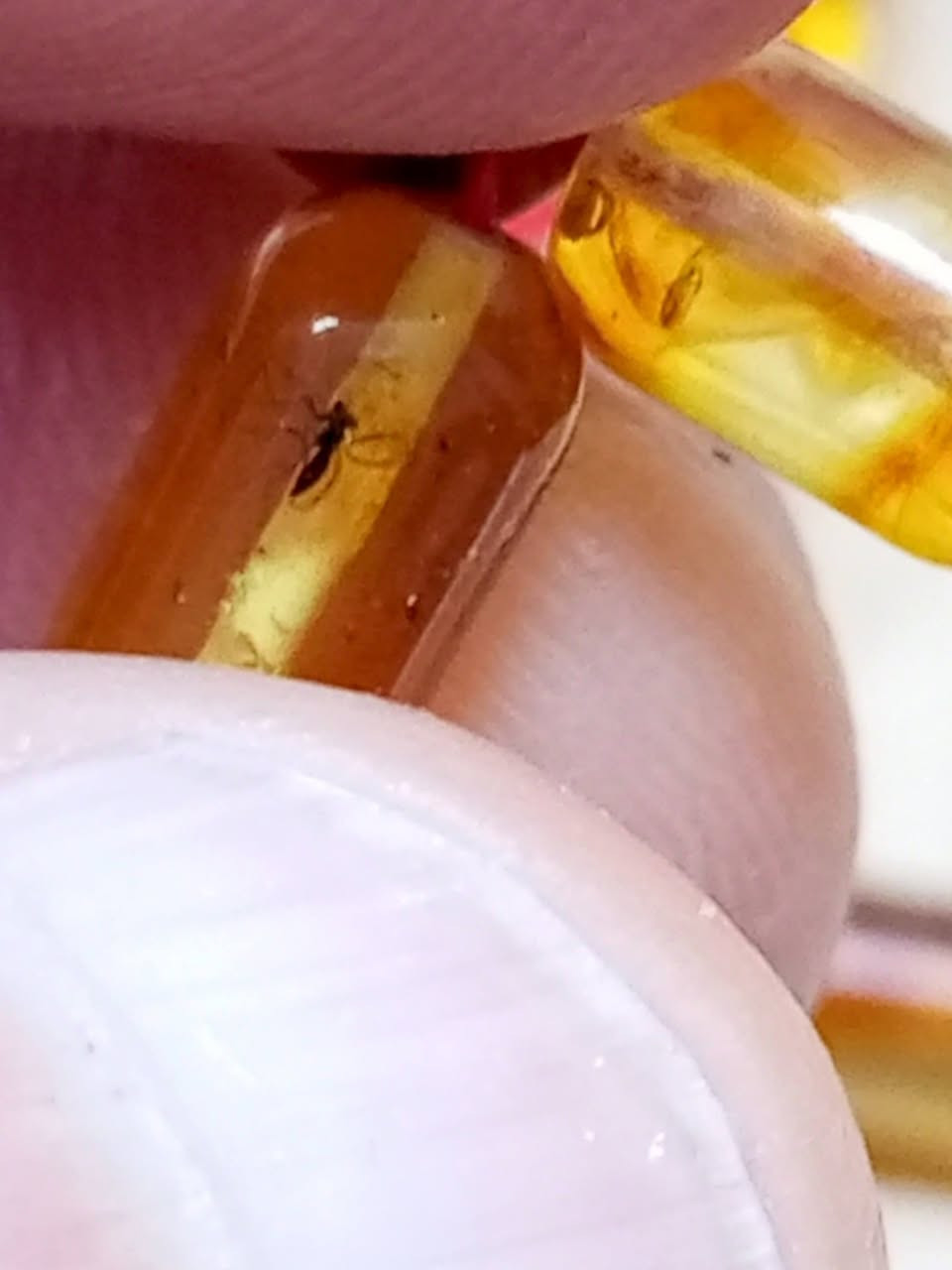 كهرب بولندي حر أبو الحشرة كبسولية ٢٥ غرام خام حر طبيعي عالفحص


**إذا كنت صاحب هذا الإعلان وتريد حذفه لأي سبب، رجاءا أرسل رسالة إلى الدعم الفني**