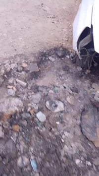 صني هندي • ٢٠٢٠ • ضاربة جزرة