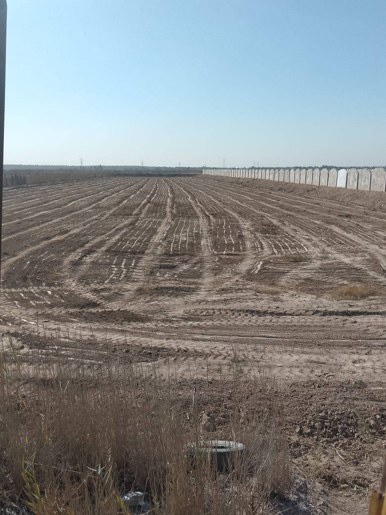 (  المدائن التويثه )
بيع مستعجل لاضيعه من اديك
توجدارض زراعيه مساحه(5 دونم ) طابو  ملك صرف سند25 ماتنطي ولا الف الى تحول بسمك الارض فارغه وموقع جميل وصالح للزراع 
الارض مجورة مضخر الادوية 
بيع حسب طلب
يصلح شالي موقع فقط مزارع وكل اصحب المزارع بهذا الموقع تعال وشوف بعينك حته تتأكد  بعد  عن السده لنهر دجله (متر700)  .
سعر دونم   (150)مليون وبيه مجال اقل عرض حاليا التويثه  العنوان بغداد المدائن ٠ التويثه    (( الأسعار في صعود لكون الارض قريب عليها جسرين حاليا في المراحل الاولى للتشيد وتم نصب ركائز للجسرين واحد متجه للدوره باتجاه التويثة ك 
   ثاني يوم فتح بيان للمشتر ي في طابو المدائن
للاستعلام الاتصال (***********) ابو ألين  بي واتساب وكيل صاحب الارض ...... 

      (بارك الله بعمل الخير )
