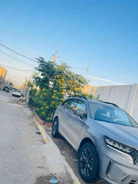 سلام عليكم
سورنتو البيع
 موديل 2023
مواصفات فول
 رادار مامي
رادار خلفي
 تحدي مسار
 سياره امريكية 
سياره تقرير مياه مطار
 سياره جايه تشتغل 
 ما فاتح فيوز
السعر 22الف$
بيهامجال حك حية
الا سفتار***********❤️
