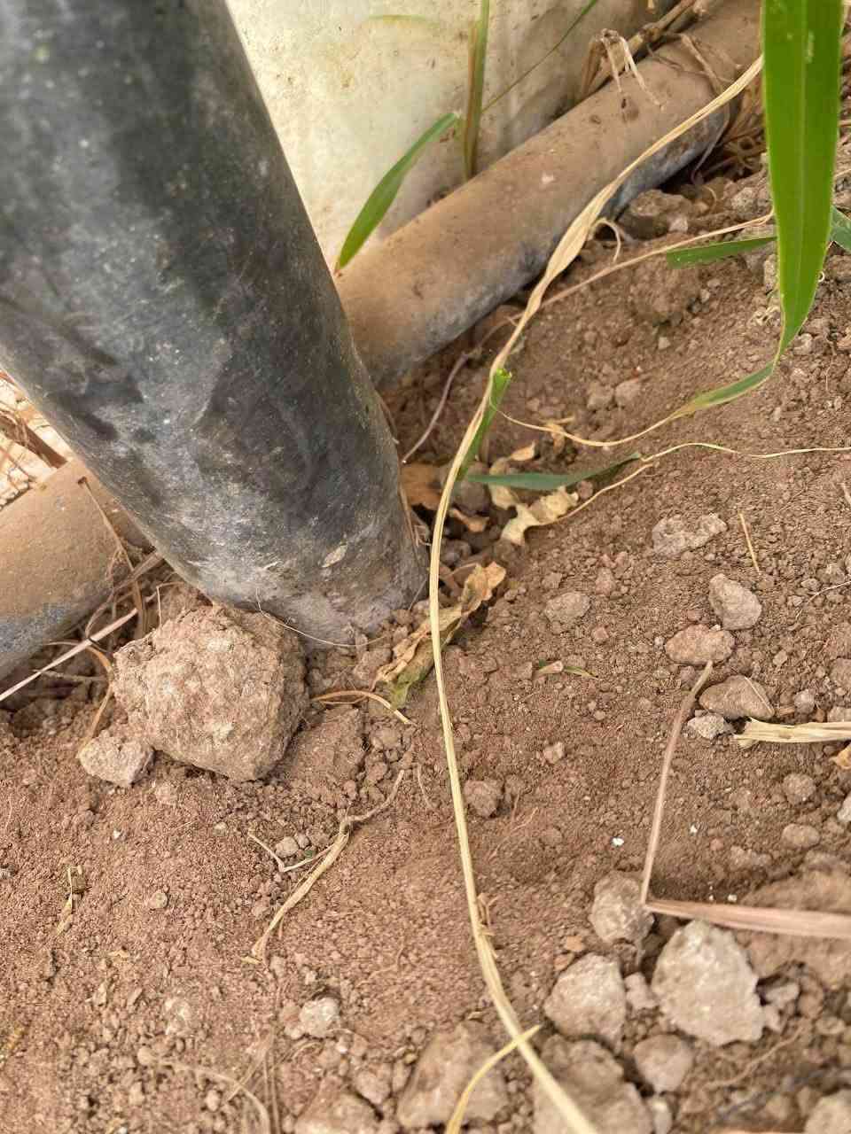 بيوت بلاستيكيه للبيع العدد 3كاملا  بوب ولايلون مال بيتين نوعيه عبار أردني للتصال  ***********

