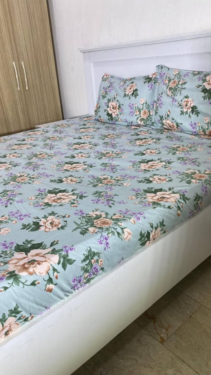 مساء الخير ايام رمضان شاركه بازار الخيمه وهسه هم مسوي عرض على جراجف نفرين لاسيتك كل ٣قطع التوصيل مجانا


**إذا كنت صاحب هذا الإعلان وتريد حذفه لأي سبب، رجاءا أرسل رسالة إلى الدعم الفني**