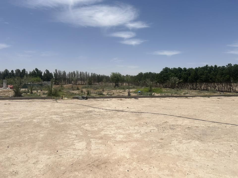 لسلام عليكم..
لعشاق المساحات الكبيرة والبناء الدرجة أولى، بيت للبيع مع دونم أرض (المساحة خارج مساحة البيت) في موقع مميز وهادئ.
📌 الموقع: البصرة - خور الزبير - قرب مخيم الحسن.
📜 السند: زراعي (عقد مجدد جاهز).
📐 مواصفات البيت:
• المساحة: 400 متر مربع.
• البناء: شغل درجة أولى (مسلح بالكامل، جسور، شرط نده ما يندي). ملاحظة: السطح غير مزفت وغير مشتكر.
🧱 التقسيم الداخلي:
• 3 غرف نوم + صالة + استقبال.
• ديوان كبير بطول 14 متر (غير كامل الهيكل).
💧 الخدمات والماء والكهرباء:
• الماء: إسالة شغال 24 ساعة بدون انقطاع (مجرور بايب أبو 4 إنج، وصونده من أبو 400، الماي يصب صب).
• الكهرباء: فول مستقرة وبدون مشاكل (شرط).
• الأمان: منظومة كاميرات مراقبة متكاملة (سيستم 6 كاميرات).
📞 للاستفسار والسعر والتواصل مع المالك مباشرة:
[***********]
